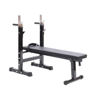Homcom - Panca Pesi Attrezzatura Fitness Panca Pieghevole per Palestra e Home Gym(m-10)