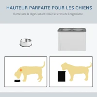 PawHut Gamelle surélevée pour chiens avec 2 bols en acier inoxydable amovible coffre de rangement, dim. 60L x 30l x 42H cm(m-7)