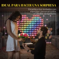 HOMCOM Cortina de Luces LED 3x3m Inteligente con Sincronización Musical Control Remoto y App Efectos y Colores Personalizables(m-9)