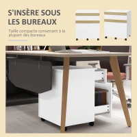 Vinsetto Caisson de bureau à roulettes avec 2 tiroirs coulissants trieur à dossiers 48 x 40 x 59,5 cm blanc(m-6)