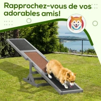 PawHut Agility sport pour chien bascule équipement entrainement chien bois sapin pré-huilé feutre bitumé antidérapant gris noir(m-6)