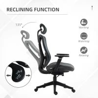 Vinsetto Mesh Office Chair, Ergonomic Desk Chair, Computer Chair with Adjustable Headrest and Lumbar Support, 135° Reclining Back and 3D Armrest for Home Office Study, Grey(m-5)