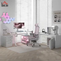 HOMCOM RGB 120 x 66cm Gaming Desk, Computer Table with Carbon Fibre Surface, Headphone Hook, Cup Holder, Controller Rack, Home Office Desk, White(m-9)