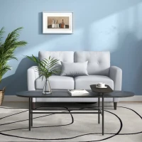 HOMCOM Sofá de 2 Plazas con Cojines y Asiento Acolchado Funda de Almohada Lavable 140x78x83 cm Gris Claro(m-8)