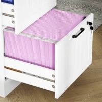HOMCOM Mueble Archivador con 2 Cajones Cajonera para Escritorio con Cerraduras Rieles Colgantes Ajustables para A4 Blanco(m-8)