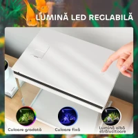 PawHut Acvariu de Sticlă pentru Pești cu Iluminare LED, Filtru și Pompă de Apă, 38x26x38 cm, Alb(m-6)