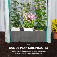 Outsunny Seră pentru Grădină cu Ușă Pliabilă pe Balamale și Sac pentru Plante, 89x50x152 cm, Transparent(m-5)
