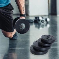 Homcom Set 4 Greutati pentru Haltere – Total 30 kg(m-2)