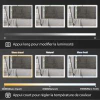 HOMCOM Armoire de toilette avec miroir, éclairage LED, 60 x 80 cm fonction anti-buée, variateur de lumière, 3 couleurs, noir(m-4)