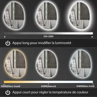 HOMCOM Miroir de Salle de Bain Asymétrique LED 70 x 50 cm - 3 couleurs, anti-buée, montage mural avec interrupteur tactile(m-4)