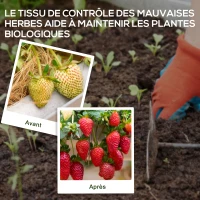 Outsunny Toile de paillage géotextile de paillage contre les mauvais herbes 100 x 1 m résistant aux déchirures polypropylène noir(m-6)