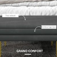 HOMCOM Banc banquette coffre de rangement 2 en 1 assise aspect velours et pieds acier - 79,5L x 37,5P x 43H cm gris et doré(m-4)