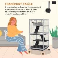 PawHut Cage pour Petits Animaux Portable à 4 Niveaux avec Roulettes, 2 Portes, 3 Rampes, Hamac et Plateau Amovible(m-5)