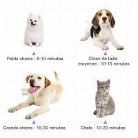 PawHut Séchoir professionnel sèche-poils toilettage pulseur sèche-cheveux pour chiens chats animaux 2800W vitesse et température réglable 3 buses interchangeables incluses violet(m-6)