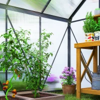 Outsunny 190 x 190cm Walk-In Polycarbonate Greenhouse(m-9)