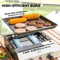 Outsunny Two Burner Portable Gas Grill(m-4)