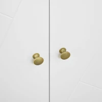 HOMCOM Meuble de rangement avec pieds épingles 2 portes et 2 étagères réglables 80 x 40 x 80 cm blanc doré(m-10)