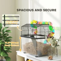 PawHut Two-Tier Hamster Cage with 31cm Deep Tray, Tube System, Water Bottle, Ramp, Feeding Bowl, Multicoloured(m-5)