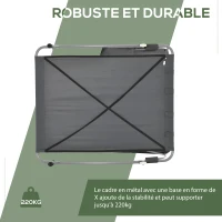 Outsunny Bain de Soleil 2 Places lit de Jardin Design Contemporain Toit réglable 2 roulettes 2 oreillers Acier époxy Polyester Gris(m-6)