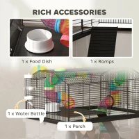 PawHut Two-Tier Hamster Cage with 31cm Deep Tray, Tube System, Water Bottle, Ramp, Feeding Bowl, Multicoloured(m-7)