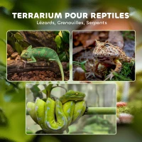 PawHut Terrarium en verre pour reptiles vivarium 12 L avec couvercle en treillis métallique, 20 x 20 x 30 cm, noir(m-4)