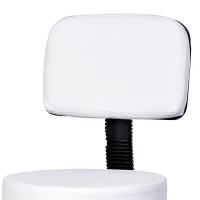 HOMCOM Sgabello Girevole con Schienale, Altezza Regolabile e 5 Ruote in pelle PU Bianca per Casa o Negozio(m-9)