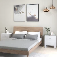 HOMCOM Bedside Table Set of 2 with 2 Drawers, Nightstands with Handles and Elevated Base, Side Tables for Bedroom, Living Room, White(m-2)