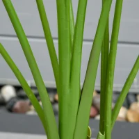 HOMCOM 2 Plantas Artificiales de 160 cm Bananera con Maceta y 10 Hojas Realistas para Decoración en Interior Verde(m-8)