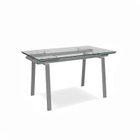 E-STYLO Tavolo allungabile con top grigio in vetro temperato e gambe in metallo grigio, 80cm X 140/200cm H.76cm(m-1)