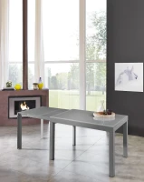 E-STYLO Tavolo allungabile con top grigio in vetro temperato e gambe in metallo grigio, 83cm X 120/175/230/290/350cm H.75cm(m-3)