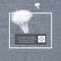Outsunny Toldo de Terraza Rectangular 4x6 m de HDPE con Anillas de Acero Inoxidable y Cuerdas para Jardín Patio Gris(m-4)