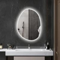 HOMCOM Badezimmerspiegel mit LED-Beleuchtung und einstellbarer Farbe und Temperatur, aus gehärtetem Glas, 80x5x60 cm, Silber(m-2)