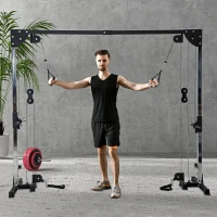 SPORTNOW Aparato de musculación doble polea vis a vis crossover, carga libre con pesa 2x50 kg 245x85x207 cm(m-2)