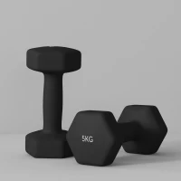 SPORTNOW Set mit 2 sechseckigen Hanteln mit rutschfesten Griffen für das Training zu Hause, 2 x 5 kg, schwarz(m-4)