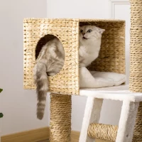 PawHut Albero Tiragraffi per Gatti, Albero da Arrampicata per Gatti ,Altezza 100,5 cm, Centro di Attività con Pali Avvolti in Corda, Multicolore(m-3)