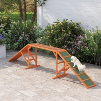 PawHut Rampa per l'agilità del cane, percorso, antiscivolo, resistente alle intemperie, legno, 325 x 55 x 69 cm, Arancione(m-2)