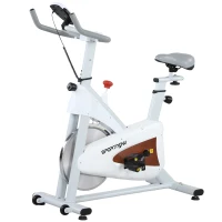 SPORTNOW Bicicleta estática silenciosa con asiento y resistencia ajustables, monitor LCD, soporte de tableta, Blanco(m-7)