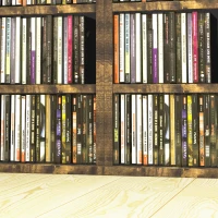 HOMCOM Conjunto de 2 estantes verticales armario de almacenamiento CD 12 compartimentos 21x22,5x88,5 cm capacidad 204 CD Marrón rústico(m-5)