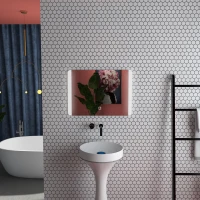 HOMCOM Espejo de baño rectangular con luz LED función antivaho brillo ajustable 50x70 cm plateado(m-5)