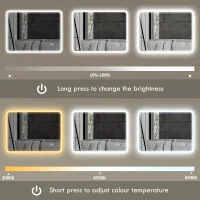 HOMCOM 60 x 80 cm Backlit Illuminated Bathroom Mirror with LED Lights and Bluetooth - Silver Tone(m-6)