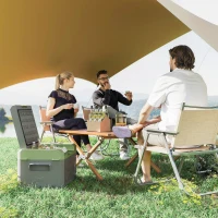 Outsunny 16,3L Lodówka Kompressorowa Elektryczna z Funkcją ECO Szary+Zielony(m-2)