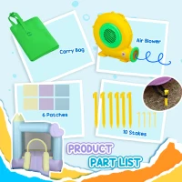 AIYAPLAY Castel Gonflabil pentru Copii 3-8 Ani cu Tobogan și Kit de Reparații, 250x165x200 cm, Multicolor(m-8)