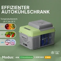Outsunny 12 Liter Compressor Koelbox Elektrische Koelbox met Anschluss Koel- en Vriesfunctie Grijs+Groen(m-4)