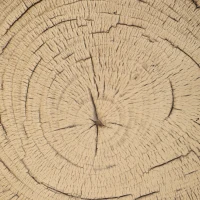 Outsunny Banco de Jardim Decorativo em Forma de Cepo de Árvore Uso Multifuncional Estável e Resistente Banco para Exterior Ø38x42 cm Madeira(m-8)