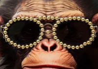 Mauro Ferretti Pictura De Perete Cu Rama Maimuta cm 52,5X2,8X72,5(m-3)