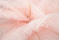 Mauro Ferretti Lampă De Masa Roz cm Ø 40X55(m-3)