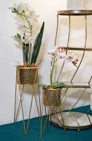 Mauro Ferretti Suport Vaza Glod Set 2 Bucati cm 21X20X46-18X18X32(m-5)