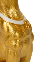 Mauro Ferretti Pit Caine Fara Buzuare cm 30X64X91(m-7)