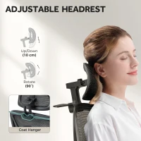 HOMCOM Ergonomic and Adjustable Office Chair - Black(m-6)