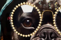 Mauro Ferretti Pictura De Perete Lăcut Cu Rama -B- cm 42,5X2,8X82,5(m-3)